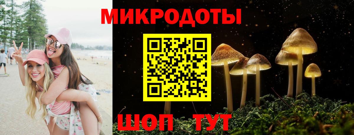 Псилоцибиновые грибы GOLDEN TEACHER Минусинск